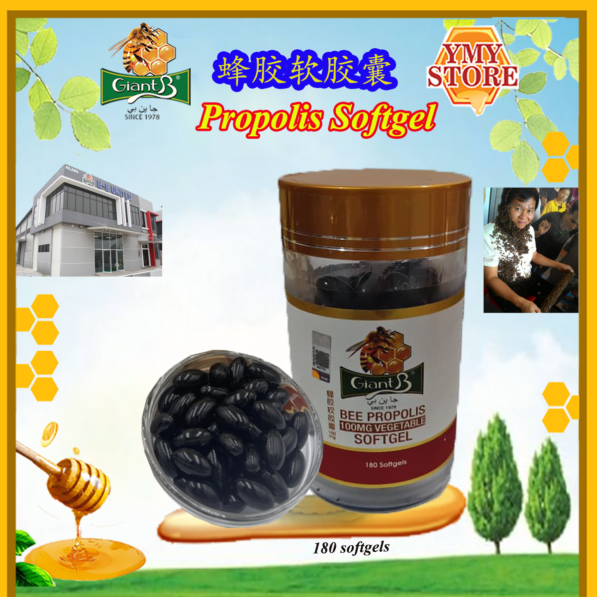 Bee Propolis Capsules Kapsul 100mg Vegetable Softgels 蜂胶软胶囊 YMY Store Giant B