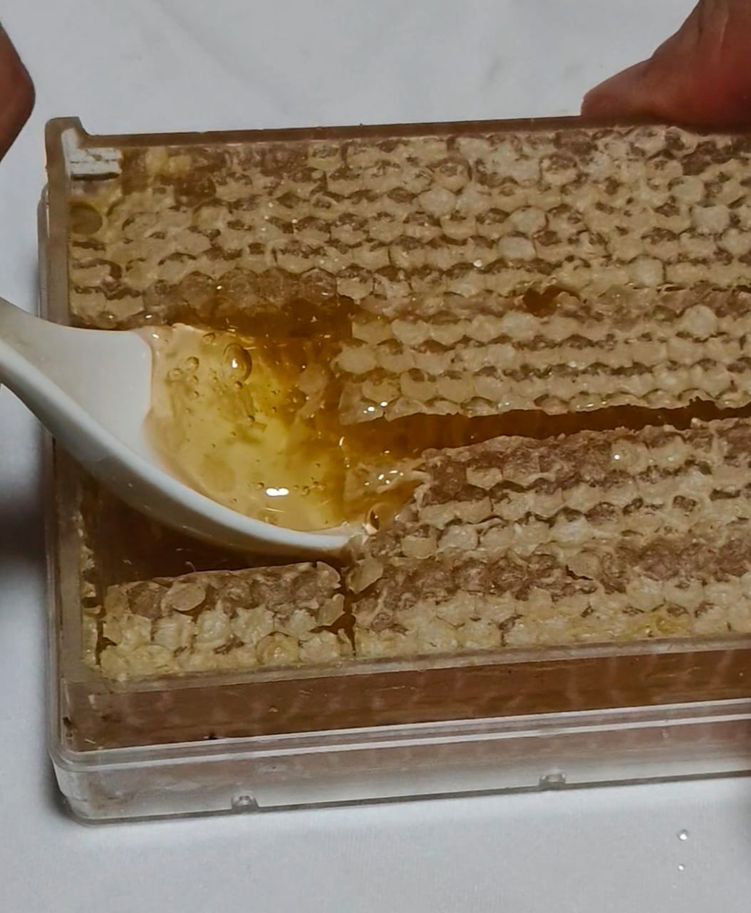YMY Store,  Honeycomb, Honey Comb, Madu Sarang, 蜂巢蜜, 蜂蜜, 蜜糖 Pure Honey, Madu Asli